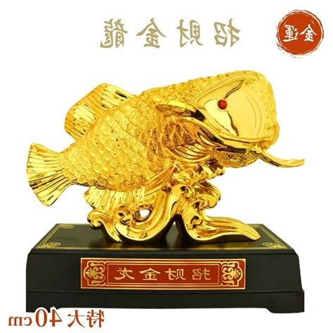 魚 風水